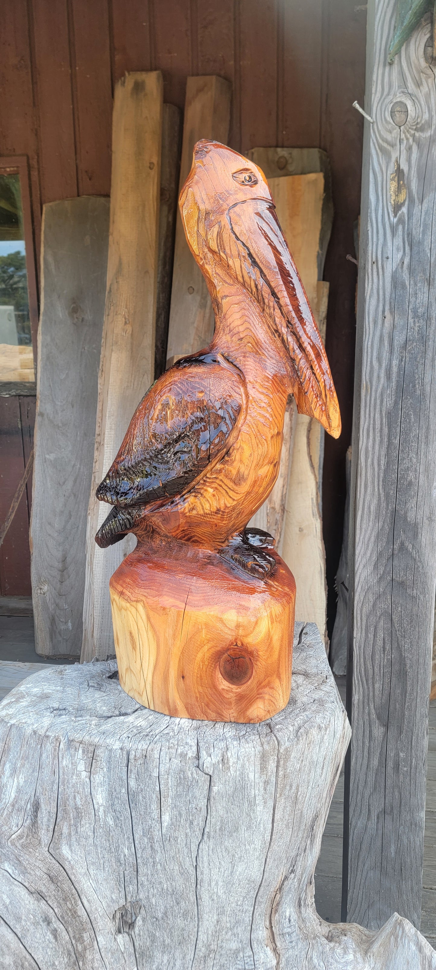 Western Red Cedar Pelican