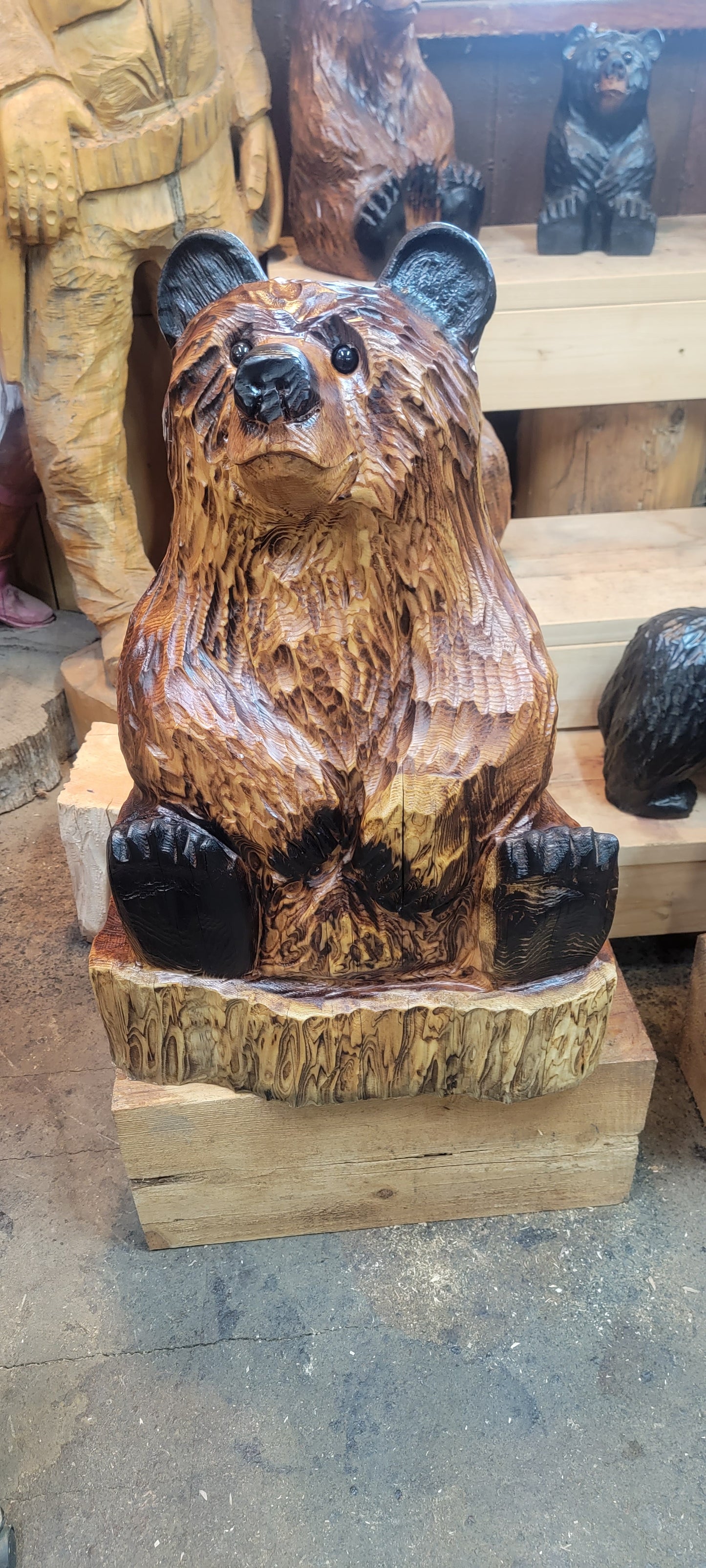 Western Red Cedar sitting  bear  on base