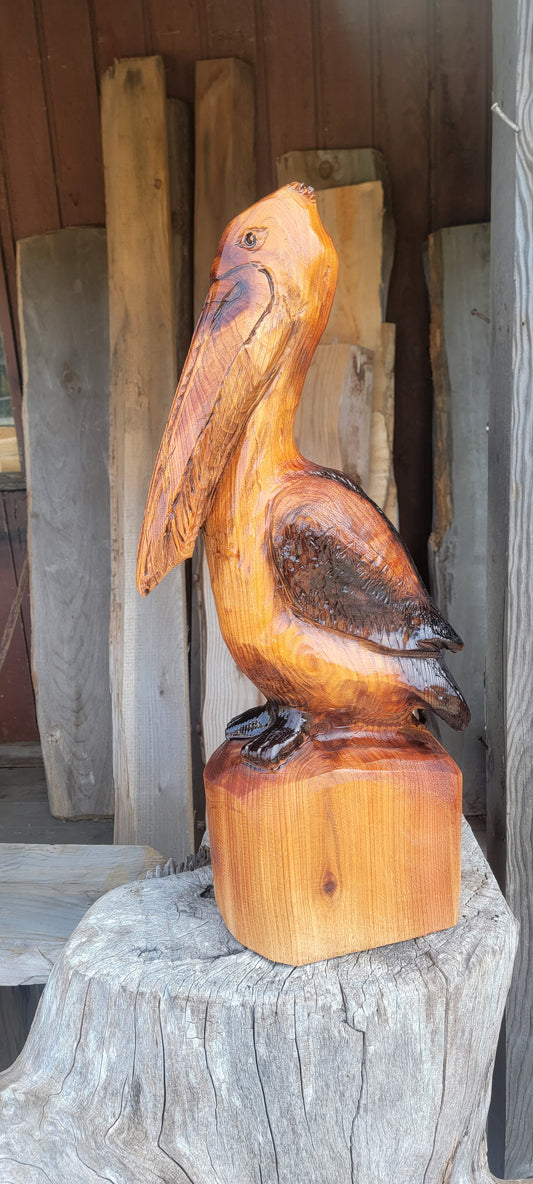 Western Red Cedar  Pelican